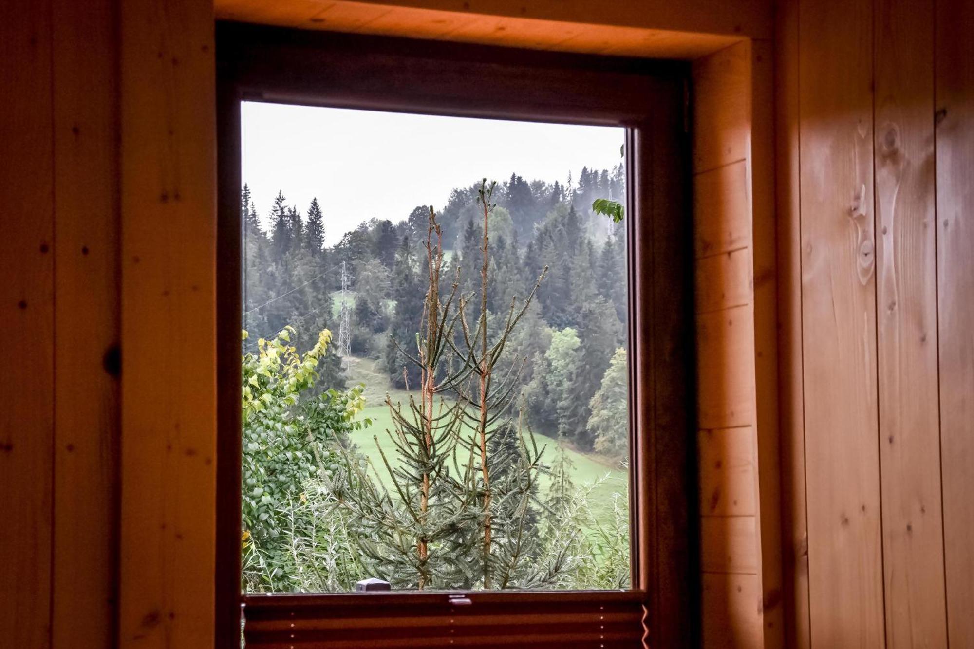 Domek Jatka No 1 Zakopane Eksteriør bilde